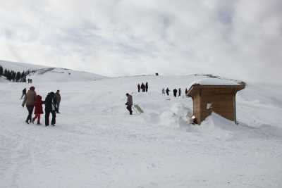 Çambaşı Yaylası